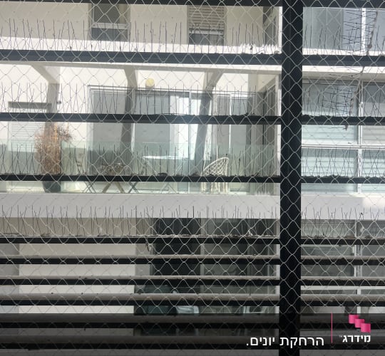 רשת ומחטים למניעת כניסת יונים על חלון